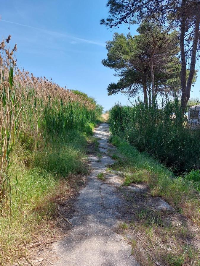 Отель La Dimora In Riva Al Mare Вьесте Экстерьер фото